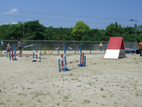 コース組むのも一苦労・・・