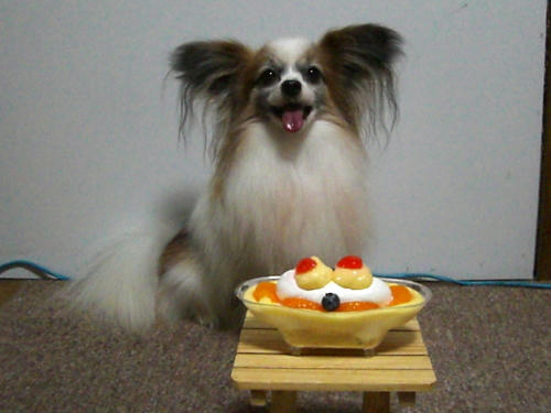 （*^ー^)/°・:*【祝】*:・°＼(^ー^*)
