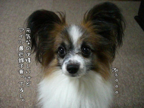 優しくしたら勘違いしてるし。