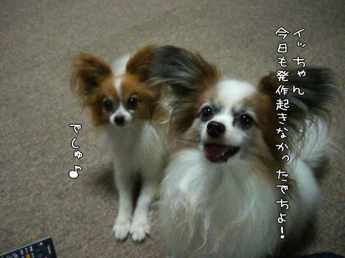 今日も元気に過ごせたね♪