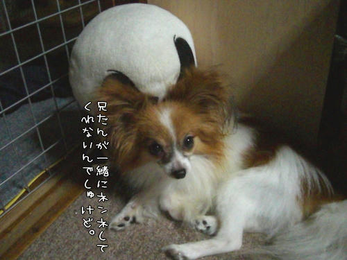 ジャックがいて良かったね(￣∇￣；)