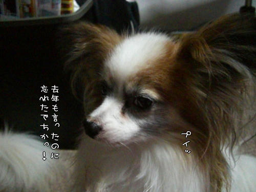 確かに去年も言ってたね・・・。