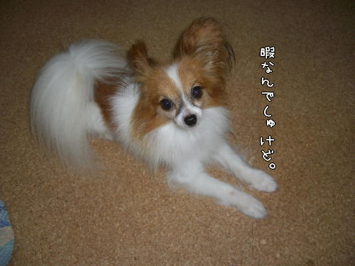 もうちょっと待ってね。