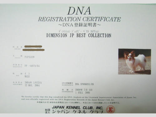 使い道は無い。