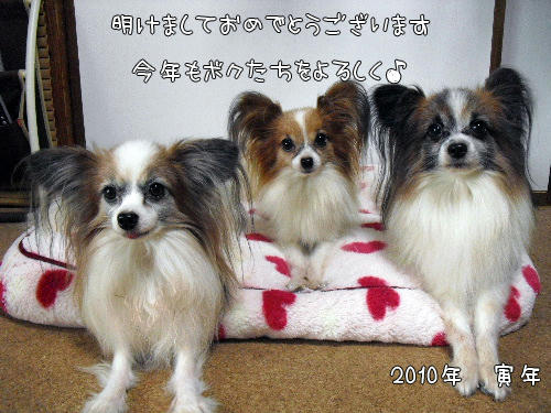 70635853.jpg