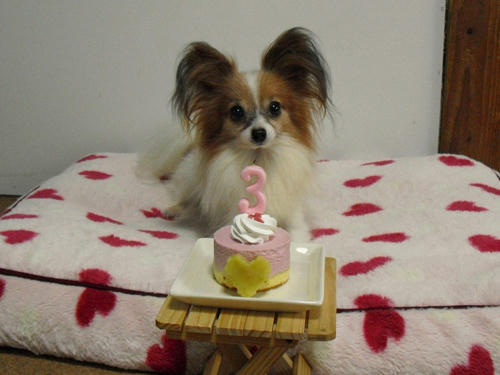 20100313001.jpg