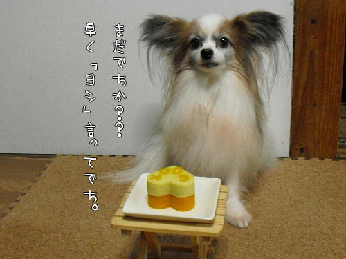 cc877722.jpg