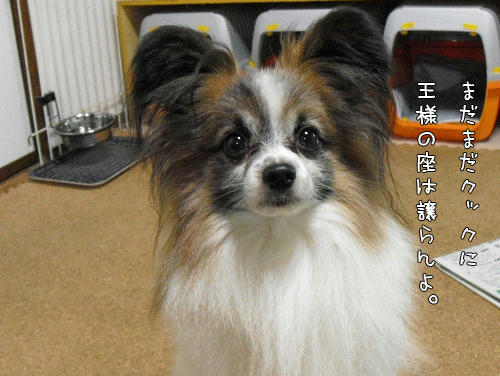 eb8d2645.jpg