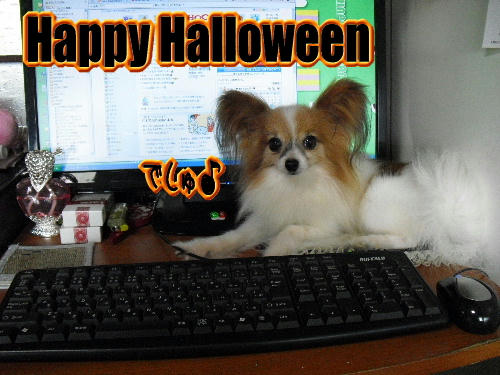 20101031004.jpg