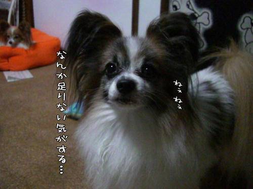 20101110002.jpg