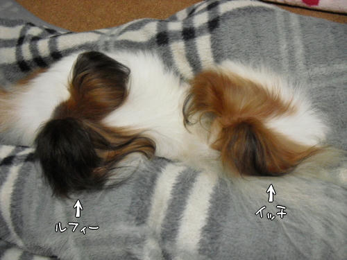 20101113003.jpg