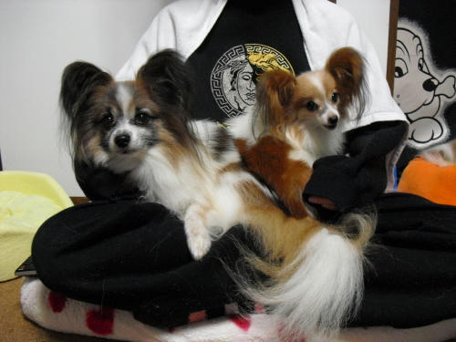 20101113002.jpg