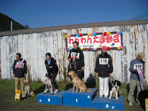 20101125004.jpg
