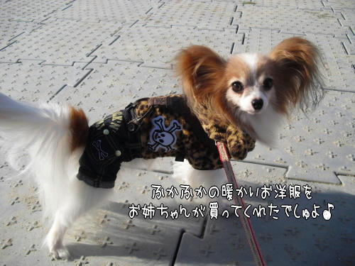 20101125002.jpg