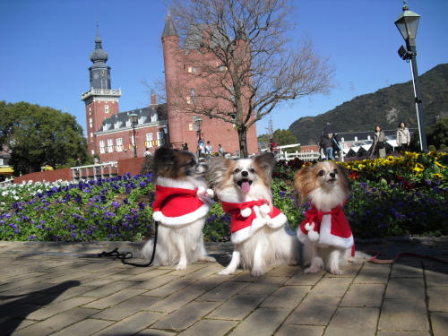 20101205002.jpg