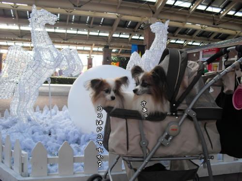 20101205004.jpg