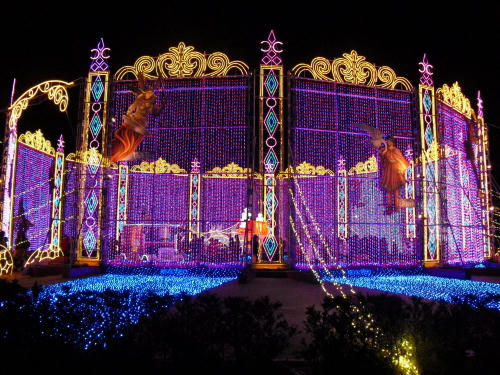 20101206005.jpg