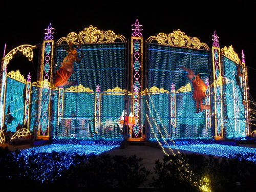 20101206006.jpg