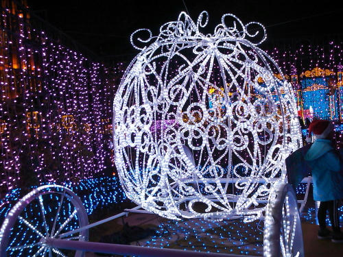 20101206011.jpg