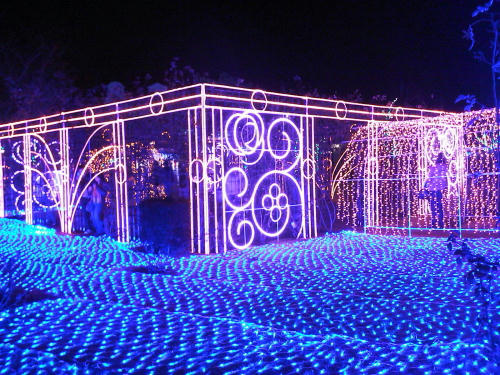 20101206013.jpg