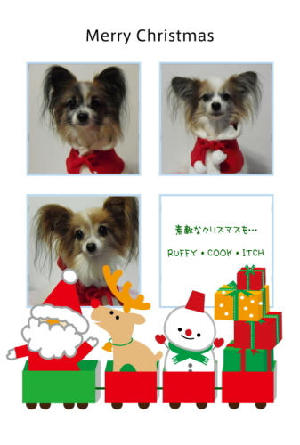 20101225012.jpg