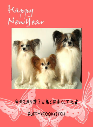 20101229001.jpg