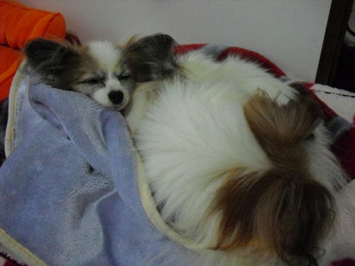 20110114003.jpg