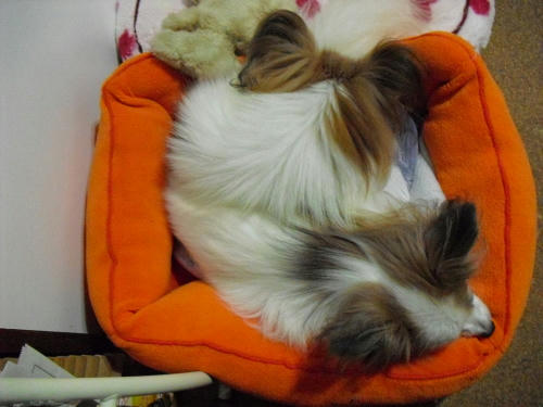 20110114004.jpg