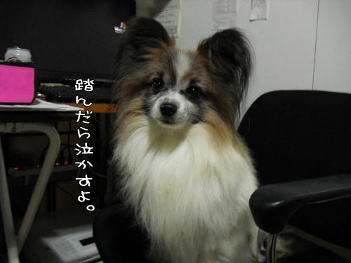 20110114006.jpg