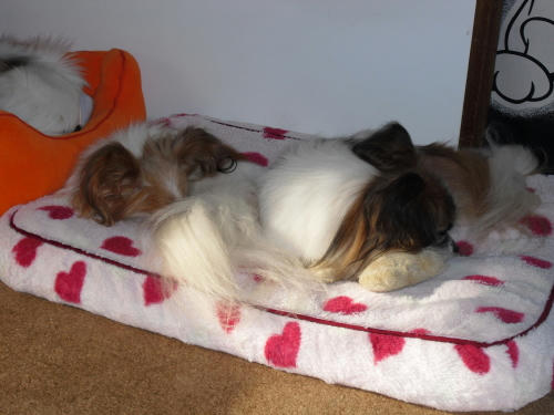 20110114002.jpg