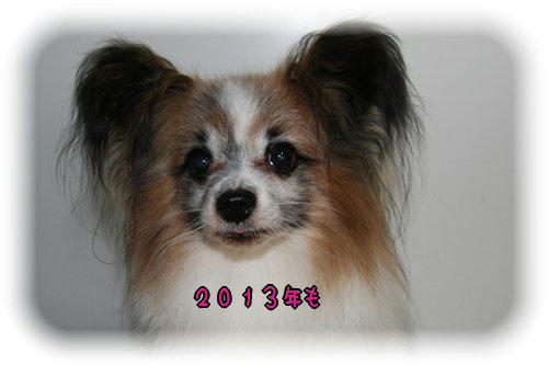20121231001.jpg