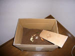 P1010008.jpg