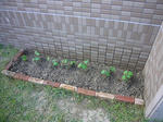 P1010150.jpg