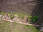 P1010210.jpg