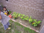 P1010243.jpg