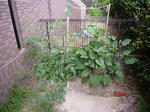 P1010244.jpg