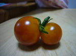 P1010463.jpg