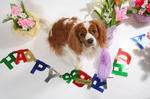 s-IMG_4446.jpg