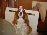 DSC00125.jpg