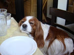 DSC00144.jpg