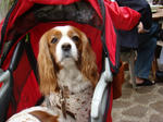 DSC00363.JPG