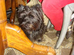 DSC00361.JPG