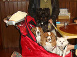 DSC00369.JPG