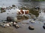 DSC00388.jpg
