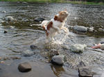 DSC00391.jpg