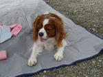 DSC00693.jpg