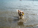 DSC00707.jpg