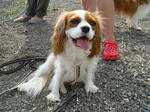 DSC00708.jpg