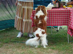 DSC00716.jpg