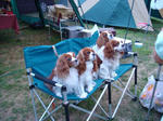DSC00724.jpg